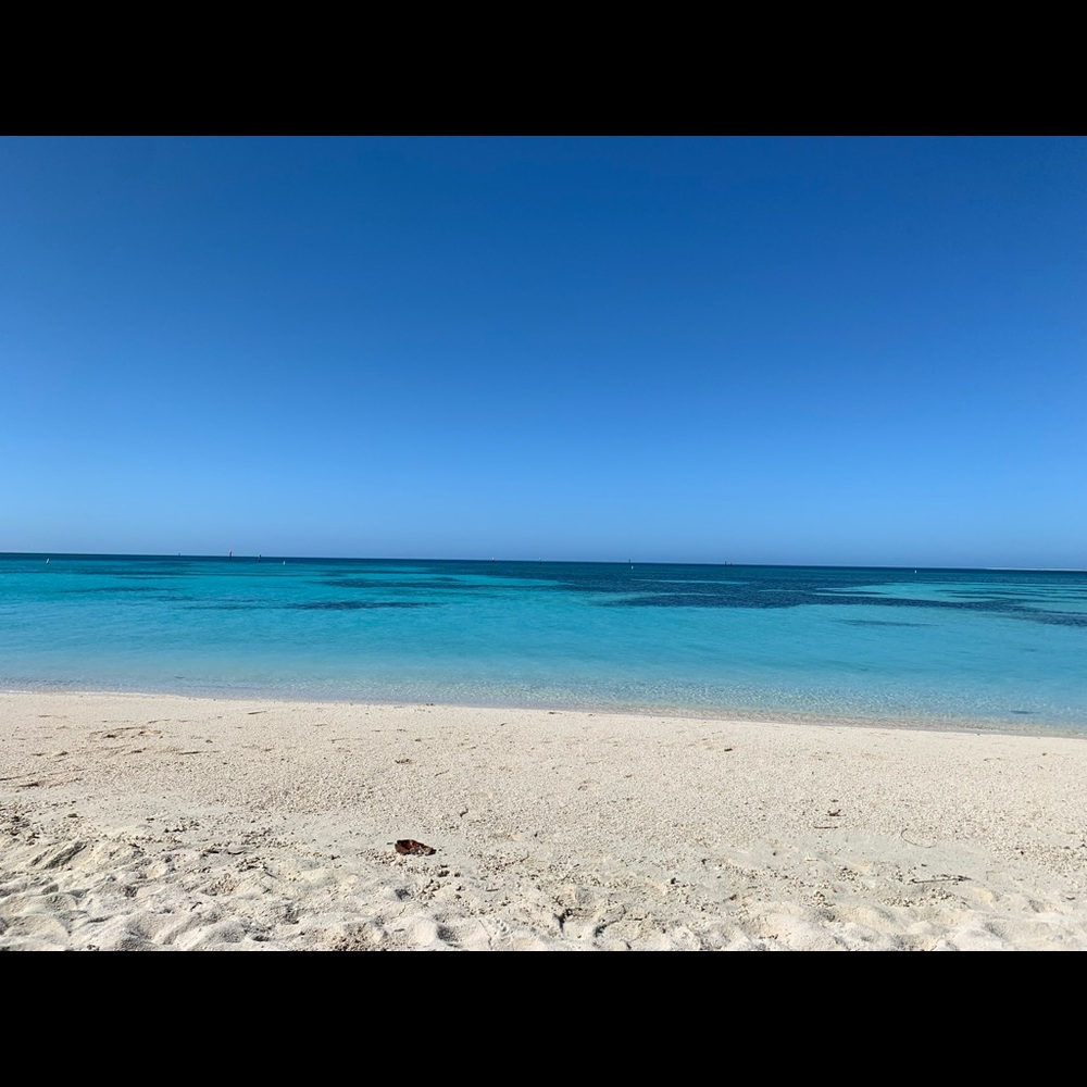 Meet your Posher, Mindy